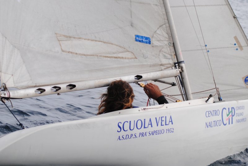 dsc_0337.jpg