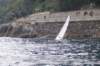dsc_0353_small.jpg