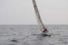 dsc_0354_small.jpg