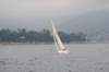 dsc_0369_small.jpg