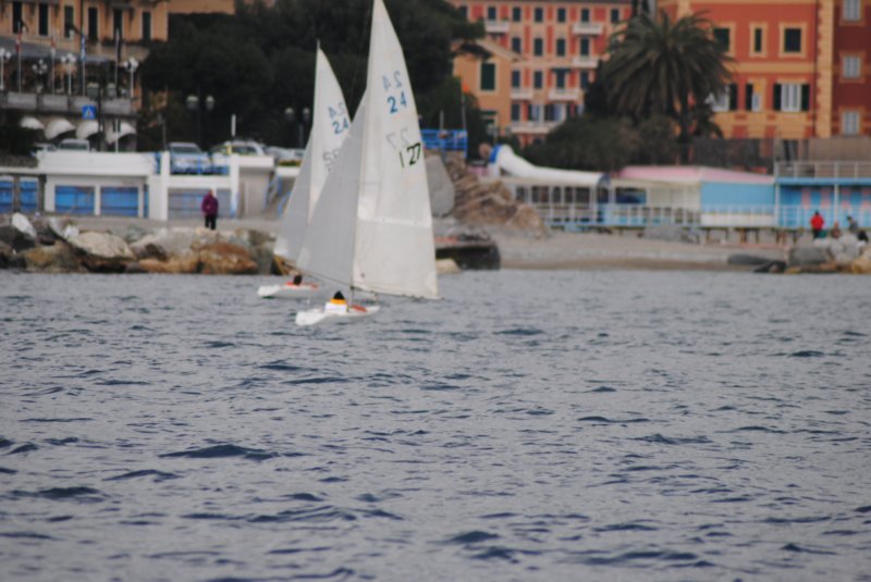 dsc_0411.jpg