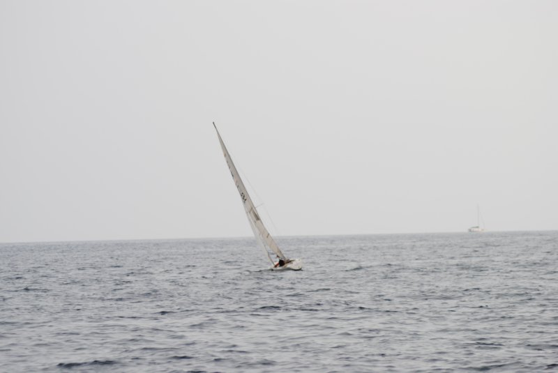 dsc_0442.jpg