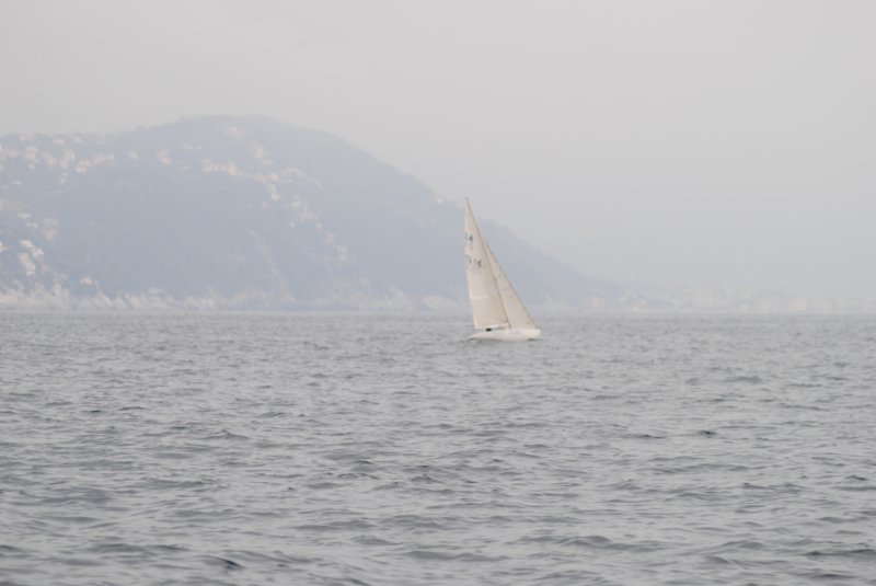 dsc_0443.jpg