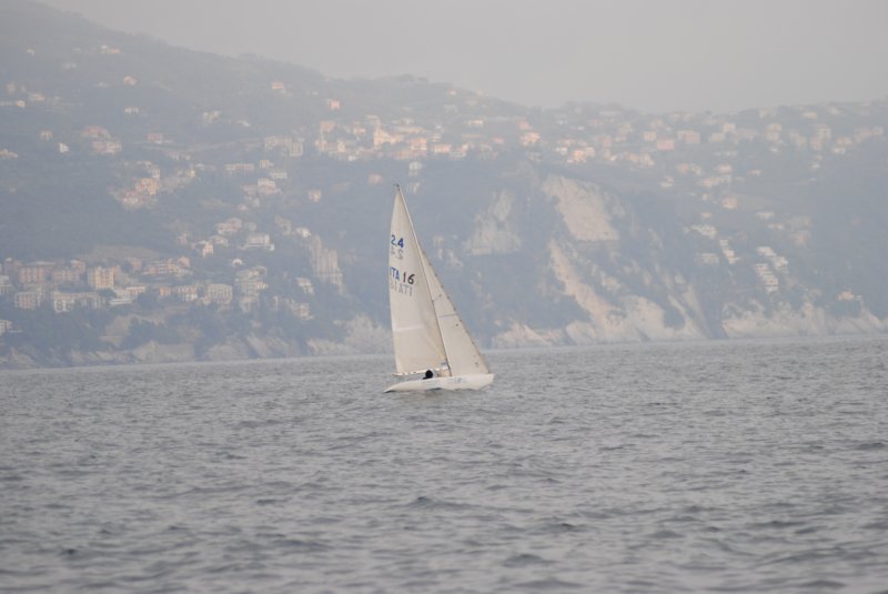 dsc_0446.jpg
