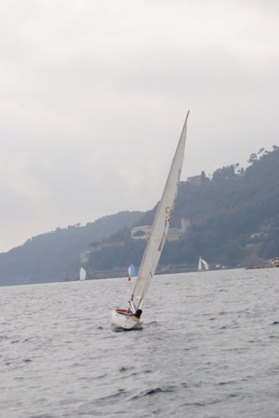 dsc_0465.jpg