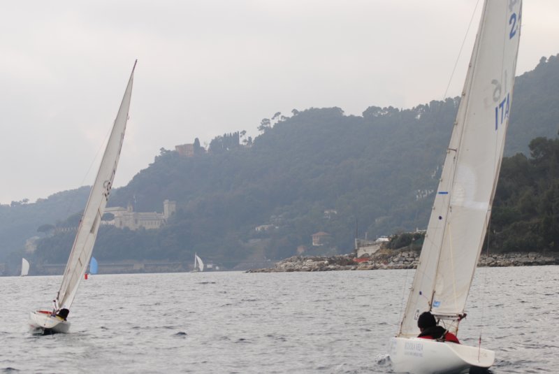 dsc_0466.jpg