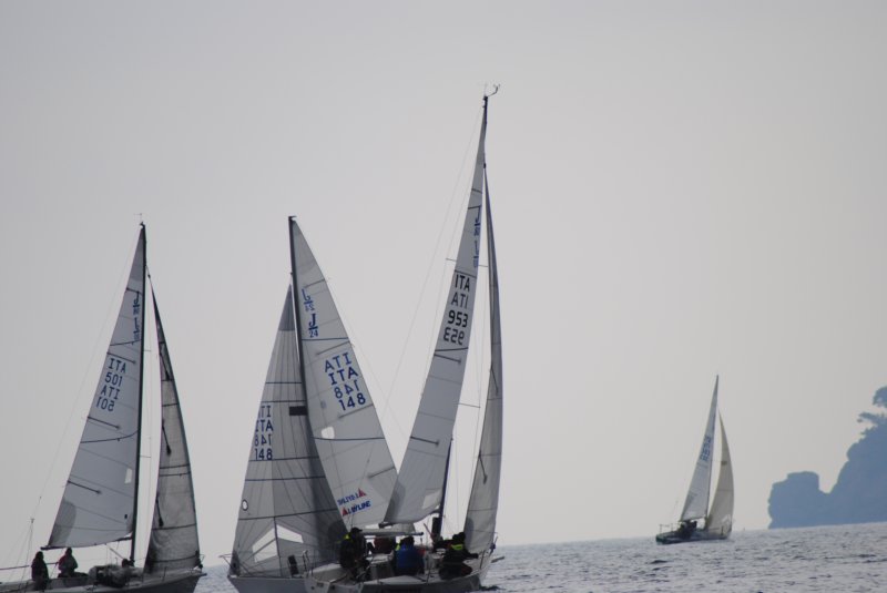 dsc_0556.jpg