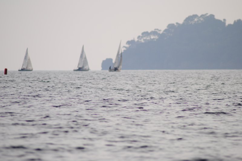 dsc_0579.jpg