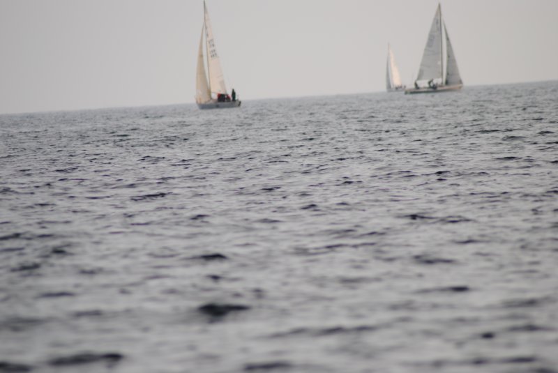 dsc_0580.jpg
