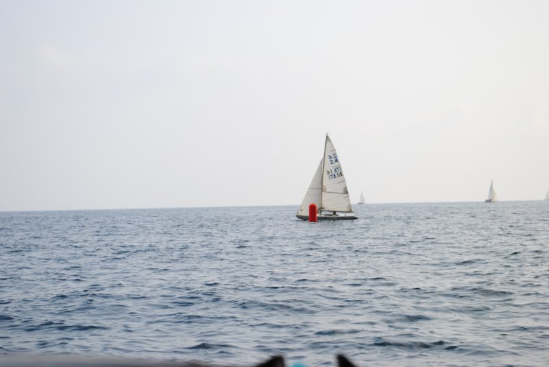 dsc_0593.jpg