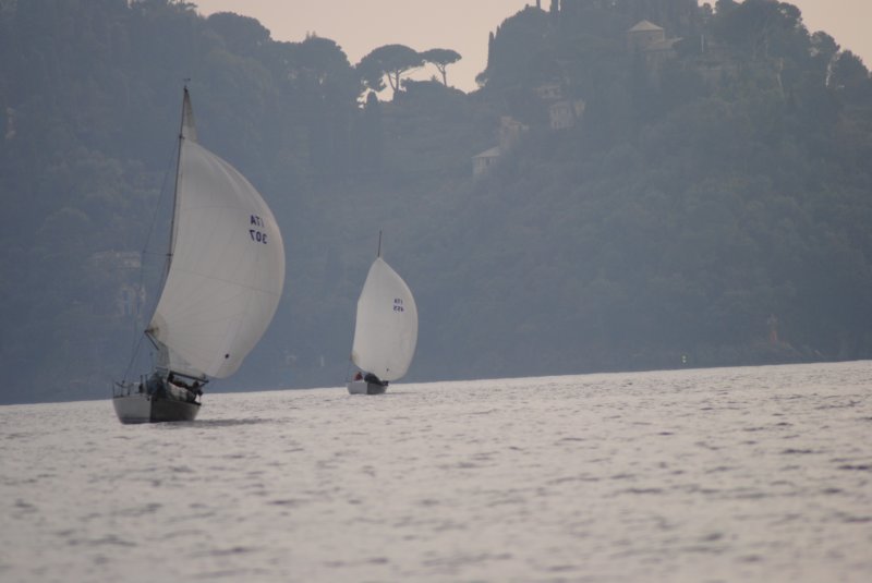 dsc_0646.jpg
