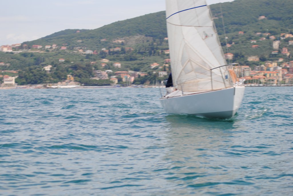 dsc_0239.jpg