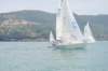 dsc_0259_small.jpg