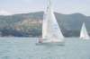 dsc_0260_small.jpg