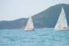 dsc_0301_small.jpg