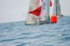 dsc_0314_small.jpg