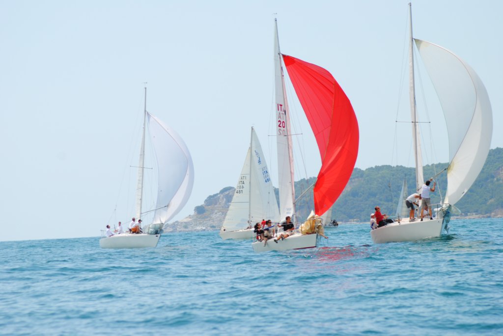 dsc_0331.jpg