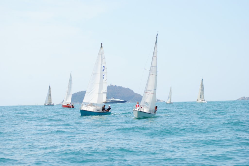 dsc_0348.jpg