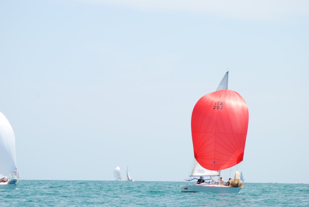 dsc_0506.jpg