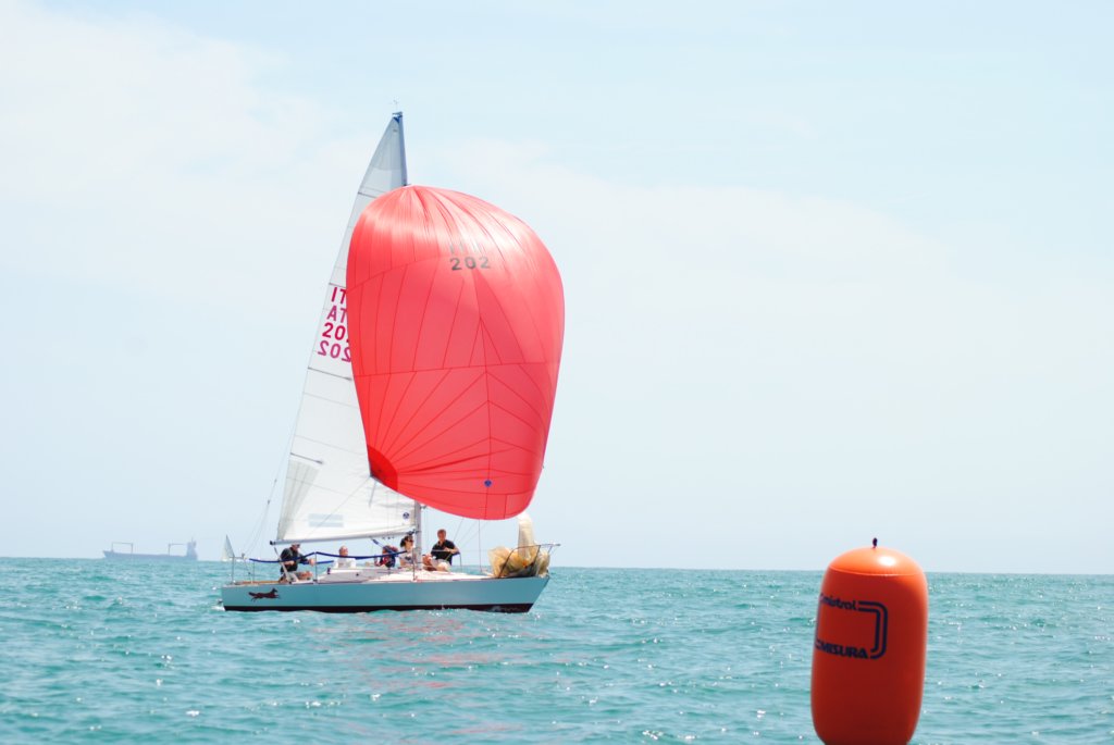 dsc_0508.jpg