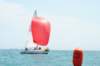 dsc_0508_small.jpg