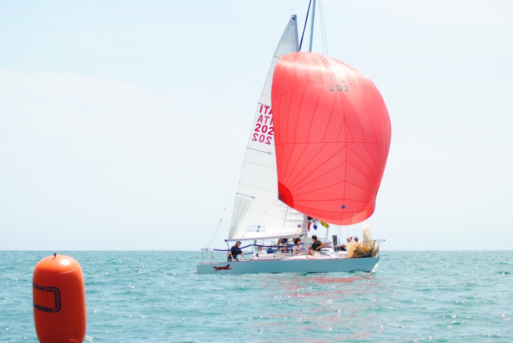 dsc_0511.jpg
