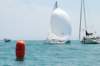 dsc_0514_small.jpg