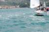dsc_0603_small.jpg