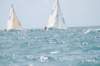 dsc_0635_small.jpg