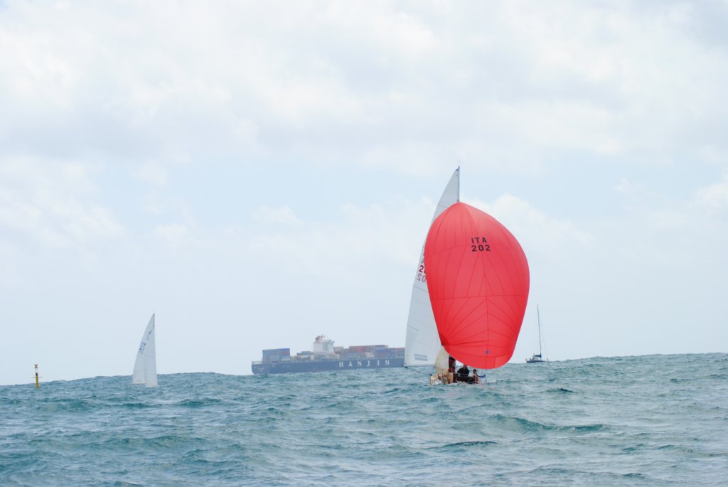dsc_0780.jpg