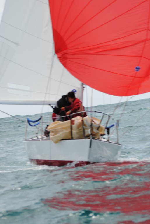 dsc_0784.jpg