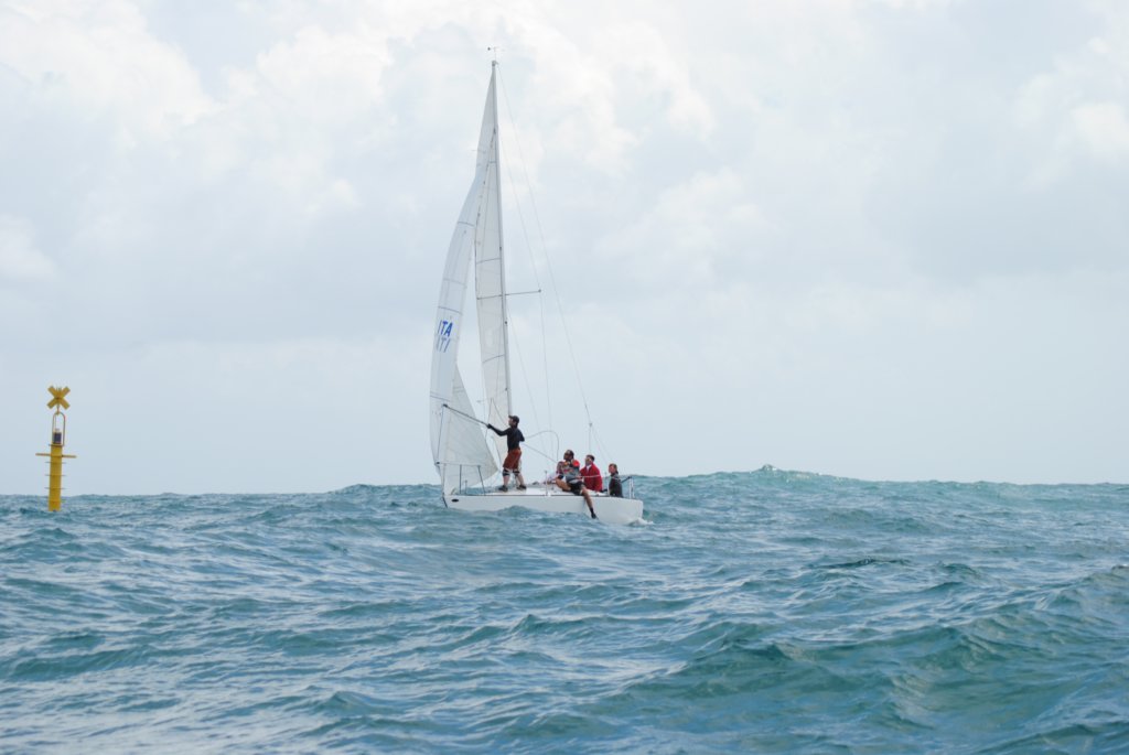 dsc_0804.jpg