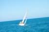 dsc_0364_small.jpg
