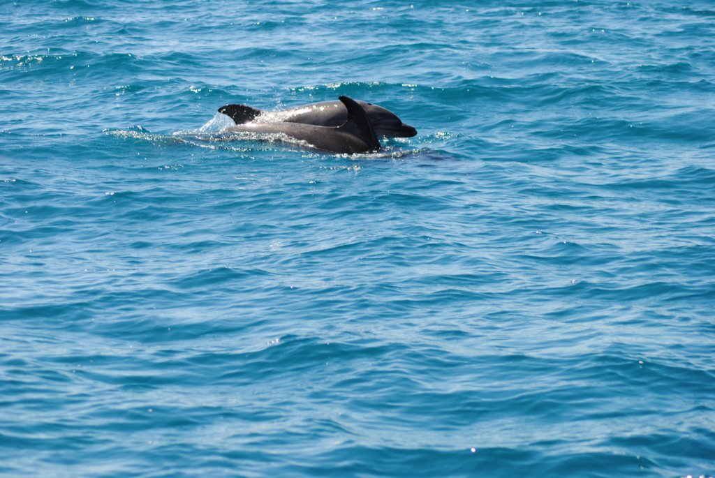 dsc_0566.jpg