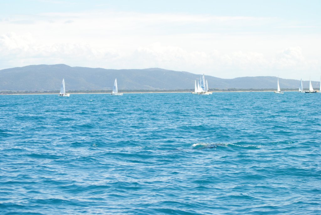 dsc_0592.jpg