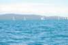 dsc_0592_small.jpg