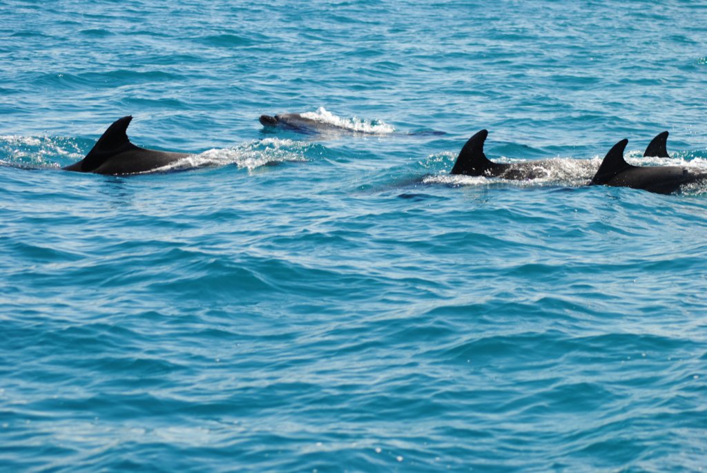 dsc_0621.jpg
