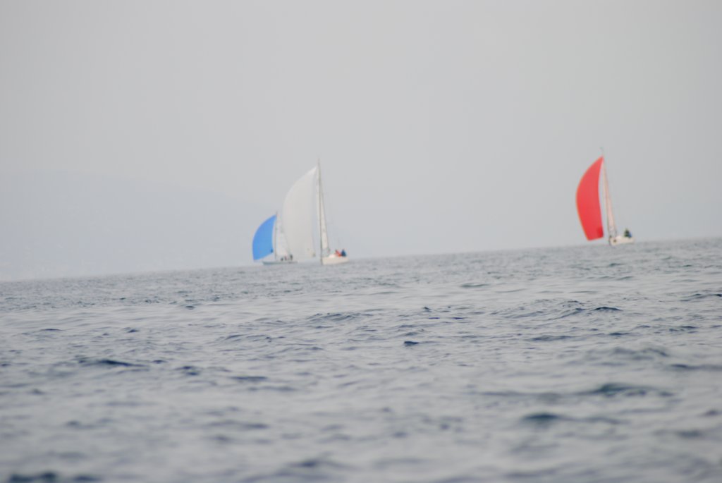 dsc_0201.jpg