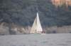 dsc_0202_small.jpg