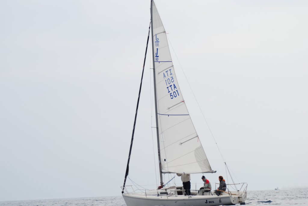 dsc_0205.jpg