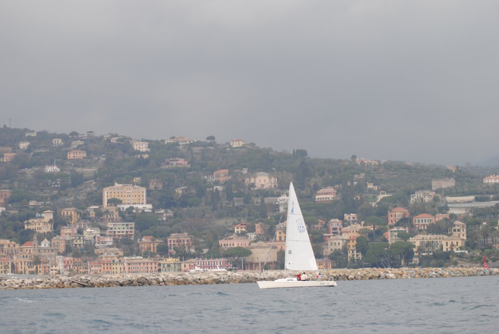 dsc_0230.jpg