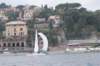 dsc_0242_small.jpg