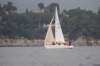 dsc_0244_small.jpg