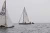 dsc_0282_small.jpg