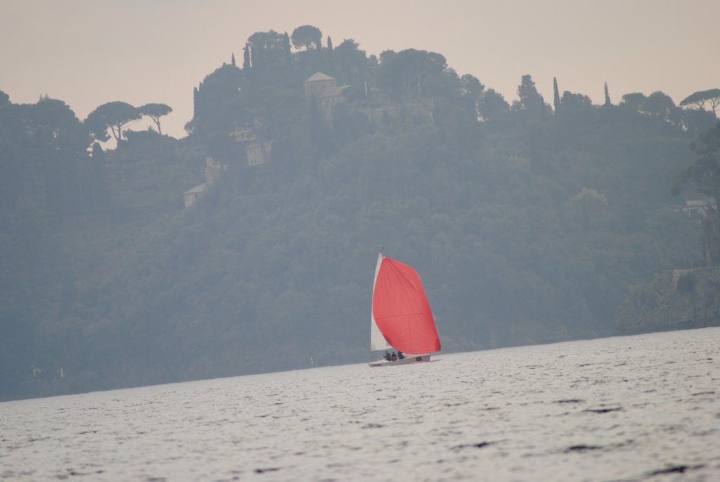 dsc_0483.jpg