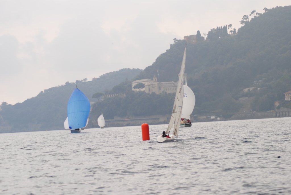 dsc_0485.jpg