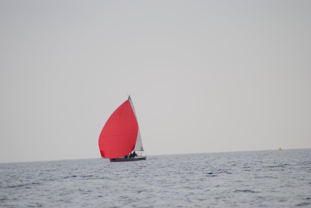 dsc_0515.jpg
