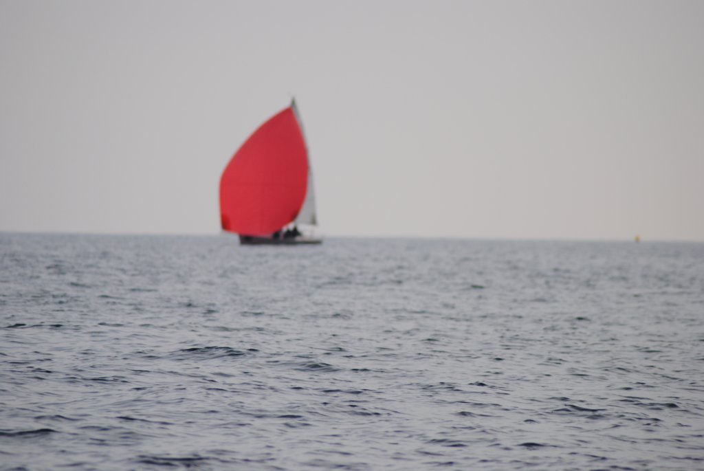 dsc_0516.jpg