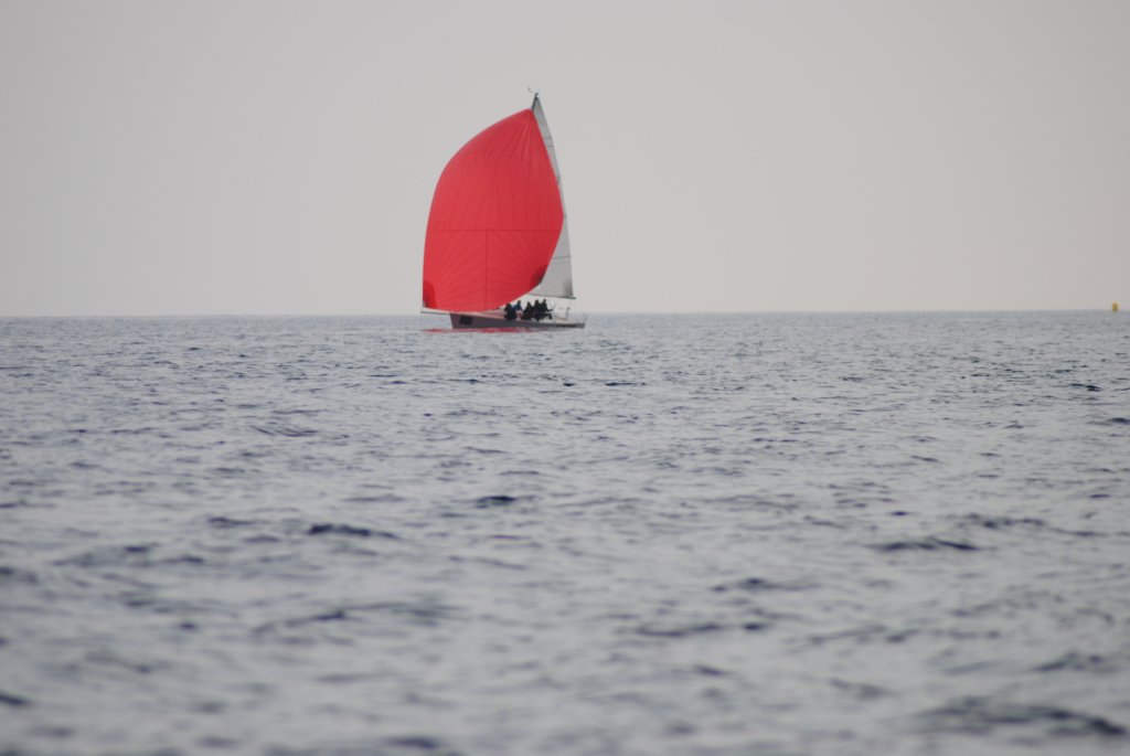 dsc_0517.jpg