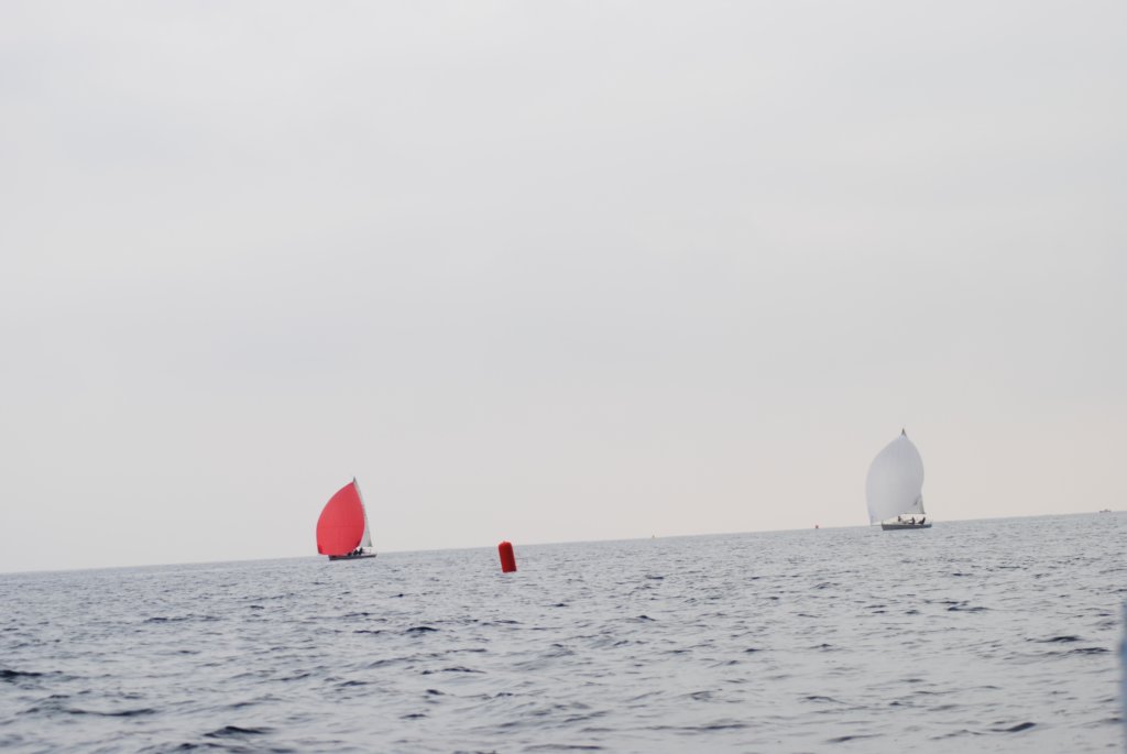dsc_0520.jpg